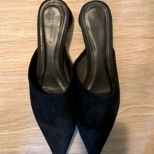 Pointed Zara Flats/Mules